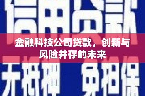 始兴金融科技公司贷款，创新与风险并存的未来