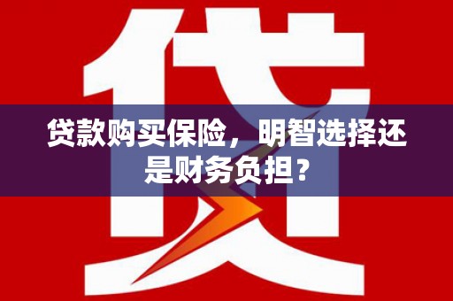 始兴贷款购买保险，明智选择还是财务负担？