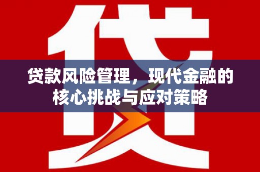 始兴贷款风险管理，现代金融的核心挑战与应对策略