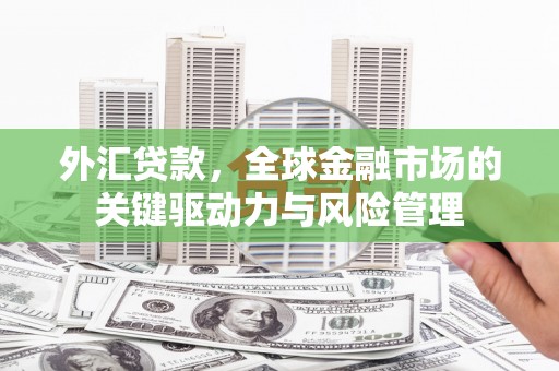 始兴外汇贷款，全球金融市场的关键驱动力与风险管理