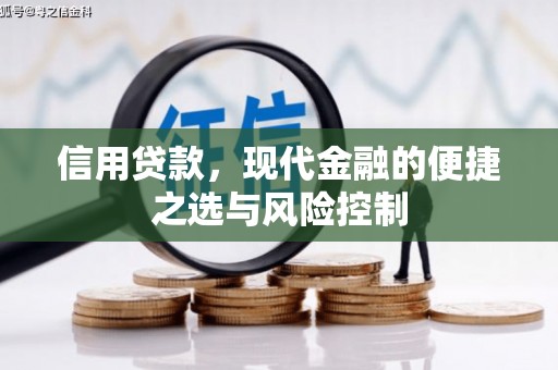 始兴信用贷款，现代金融的便捷之选与风险控制
