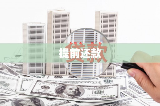 始兴提前还款