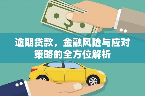 始兴逾期贷款，金融风险与应对策略的全方位解析