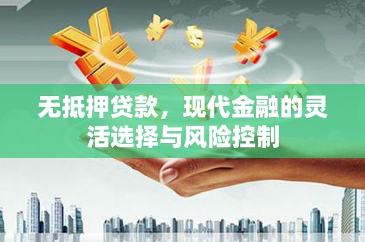 始兴无抵押贷款，现代金融的灵活选择与风险控制