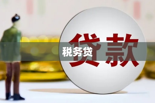 始兴税务贷