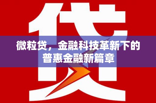 始兴微粒贷，金融科技革新下的普惠金融新篇章