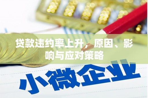 始兴贷款违约率上升，原因、影响与应对策略