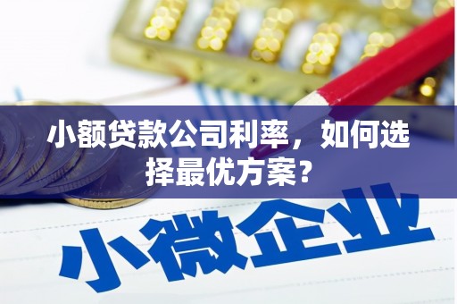 始兴小额贷款公司利率，如何选择最优方案？