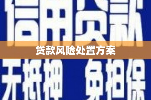 始兴贷款风险处置方案
