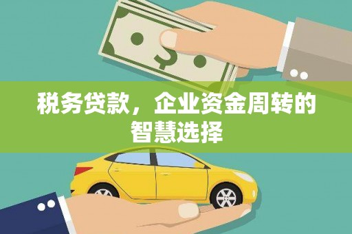 始兴税务贷款，企业资金周转的智慧选择