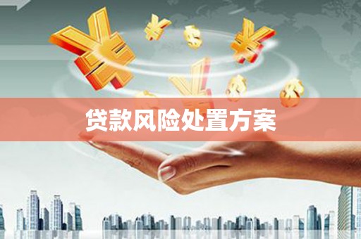 始兴贷款风险处置方案
