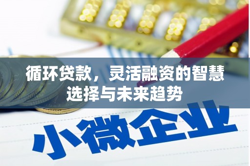 始兴循环贷款，灵活融资的智慧选择与未来趋势