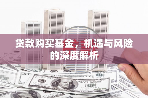 始兴贷款购买基金，机遇与风险的深度解析