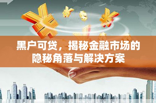 始兴黑户可贷，揭秘金融市场的隐秘角落与解决方案