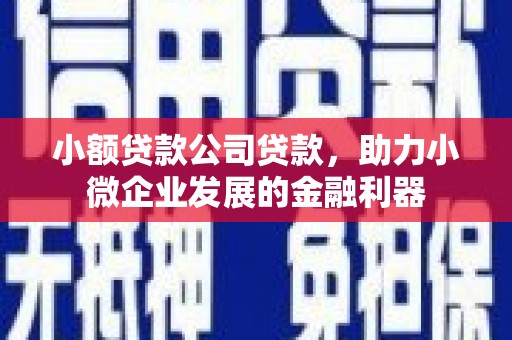 始兴小额贷款公司贷款，助力小微企业发展的金融利器