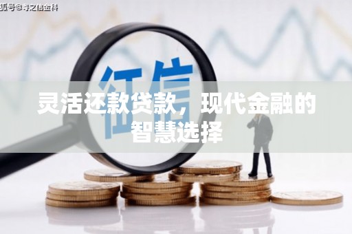 始兴灵活还款贷款，现代金融的智慧选择