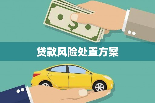始兴贷款风险处置方案