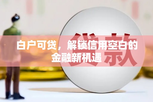 始兴白户可贷，解锁信用空白的金融新机遇