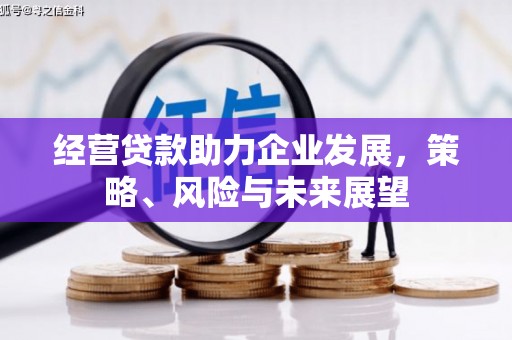 始兴经营贷款助力企业发展，策略、风险与未来展望