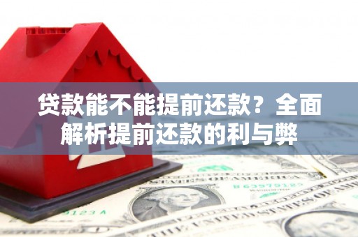 始兴贷款能不能提前还款？全面解析提前还款的利与弊
