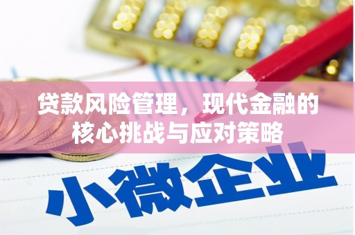始兴贷款风险管理，现代金融的核心挑战与应对策略
