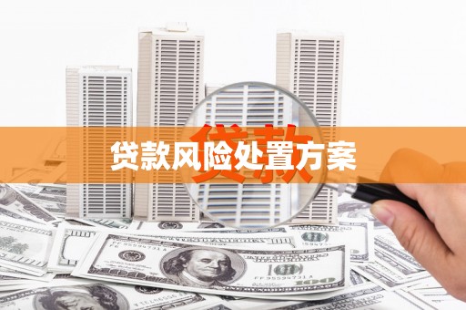 始兴贷款风险处置方案
