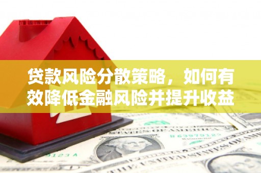 始兴贷款风险分散策略，如何有效降低金融风险并提升收益