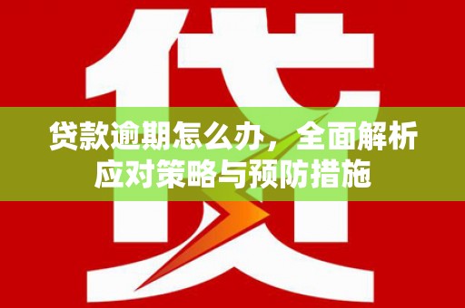 始兴贷款逾期怎么办，全面解析应对策略与预防措施