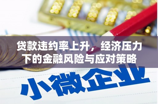 始兴贷款违约率上升，经济压力下的金融风险与应对策略