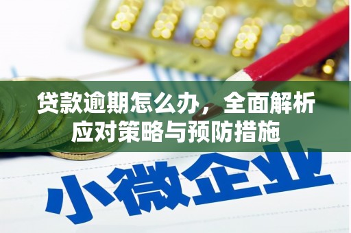 始兴贷款逾期怎么办，全面解析应对策略与预防措施
