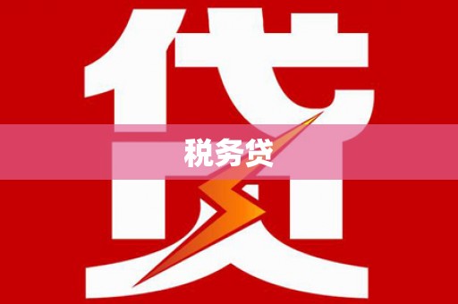 始兴税务贷