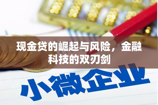 始兴现金贷的崛起与风险，金融科技的双刃剑