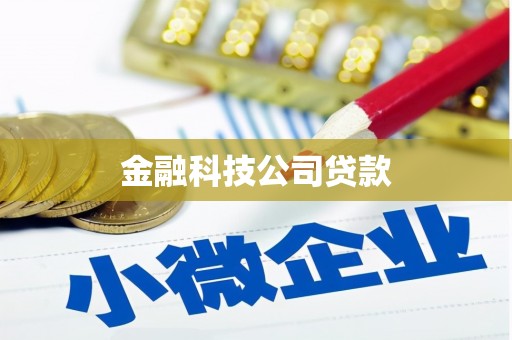 始兴金融科技公司贷款