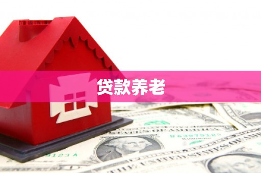 始兴贷款养老