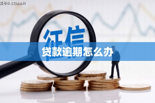始兴贷款逾期怎么办