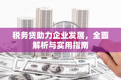 始兴税务贷助力企业发展，全面解析与实用指南