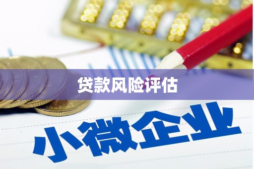 始兴贷款风险评估