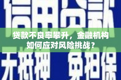 始兴贷款不良率攀升，金融机构如何应对风险挑战？