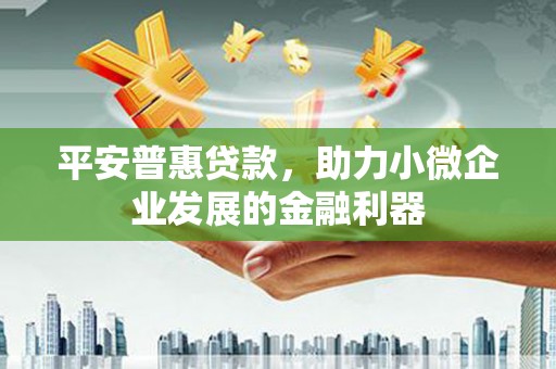 始兴平安普惠贷款，助力小微企业发展的金融利器
