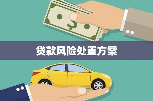 始兴贷款风险处置方案