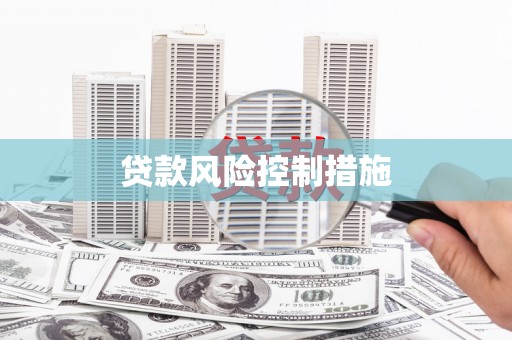 始兴贷款风险控制措施