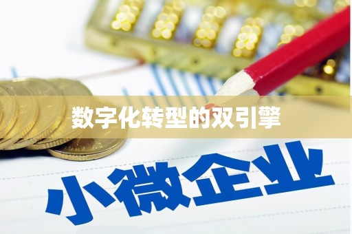 始兴数字化转型的双引擎