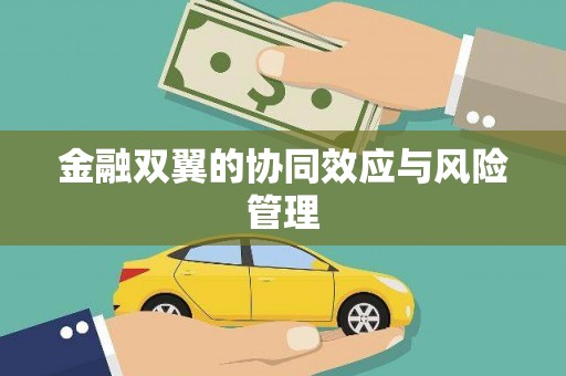 始兴金融双翼的协同效应与风险管理