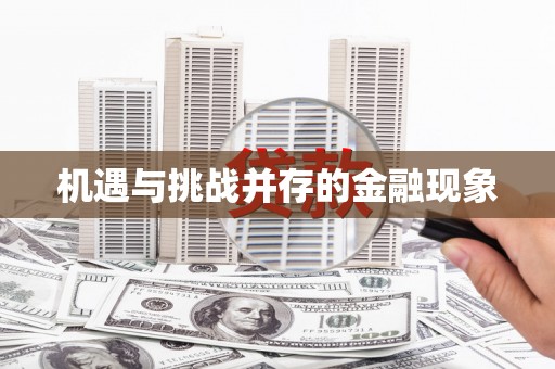 始兴机遇与挑战并存的金融现象
