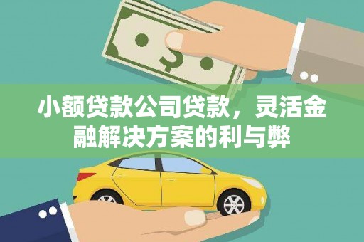 始兴小额贷款公司贷款，灵活金融解决方案的利与弊