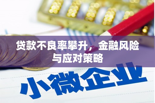 始兴贷款不良率攀升，金融风险与应对策略